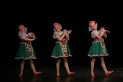 Ромашковые поля