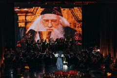 Nella Musica Orchestra. Гарри Поттер и СимфоМультимедия