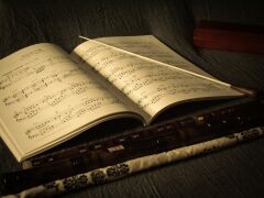 ВКЗ. La voce strumentale