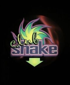 Back To Shake