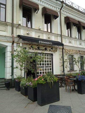 O'Donoghue's